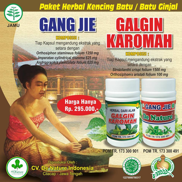Illustration for article titled Obat Sakit Batu Ginjal Alami